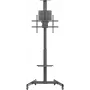 SpeaKa Professional SP-TVC-1300 TV pārvietojamais statīvs, regulējams augstums, 94,0 cm 37 - 190,5 75 (SP-13383160)