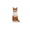 LEGO IDEAS 21376 oranža Cat