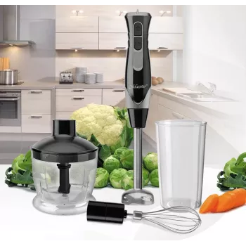 Rokas blenderis Maestro MR-566, 500 W, 2 ātrumi, turbo, putotājs, smalcinātājs 600 ml, 900 ml uzglabāšanas burka, nerūsējošais tērauds