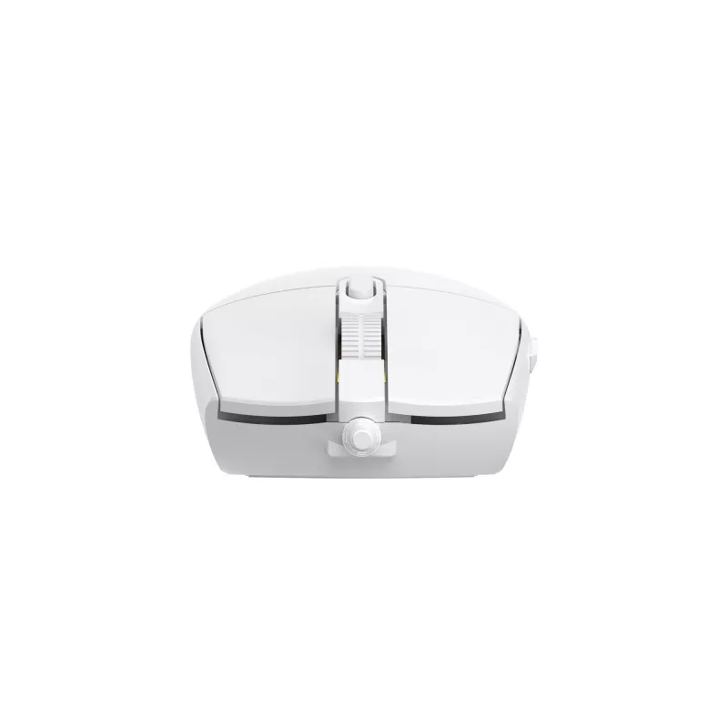 Baracuda BGM-112 Crab balta CRAB-W pele