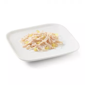 SCHESIR Chicken with pineapple želejā - mitrā suņu barība - 150g