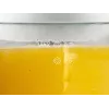 Elektriskais citrusaugļu sulas spiedējs Beper BP.102 1.7 L 2200 W