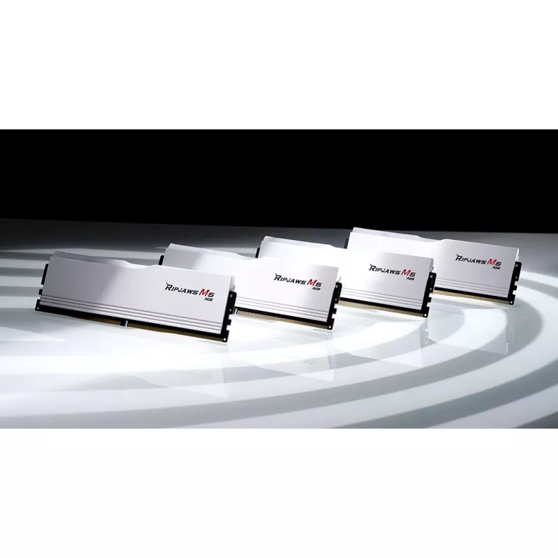 DIMM 48 GB DDR5-5200 (2x 24 GB) Dual-Kit, Memory balta, F5-5200J4040A24GX2-RM5RW, Ripjaws M5, INTEL XMP