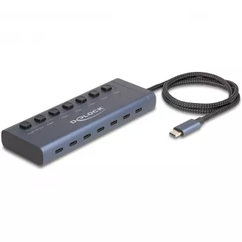 DeLOCK 63410 USB 3.2 Gen 1 Type-C centrmezgls 5000 Mbit/s Zils