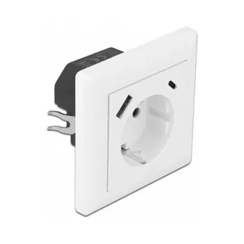 DeLOCK 11489 kontaktligzda CEE 7/3 + USB balta 250V 16A