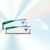 DIMM 48 GB DDR5-6000 (2x 24 GB) Dual-Kit, atmiņa balta, PVER548G60C42KW, Viper Elite 5 RGB, INTEL XMP, AMD EXPO
