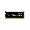 G.SKILL Ripjaws DDR5 SO-DIMM 16 GB (F5-5600S4040A16GX1-RS)