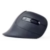 Gembird MUSW-ERGO-03 pele Mājas Labās rokas RF bezvadu Optiskā 1600 DPI