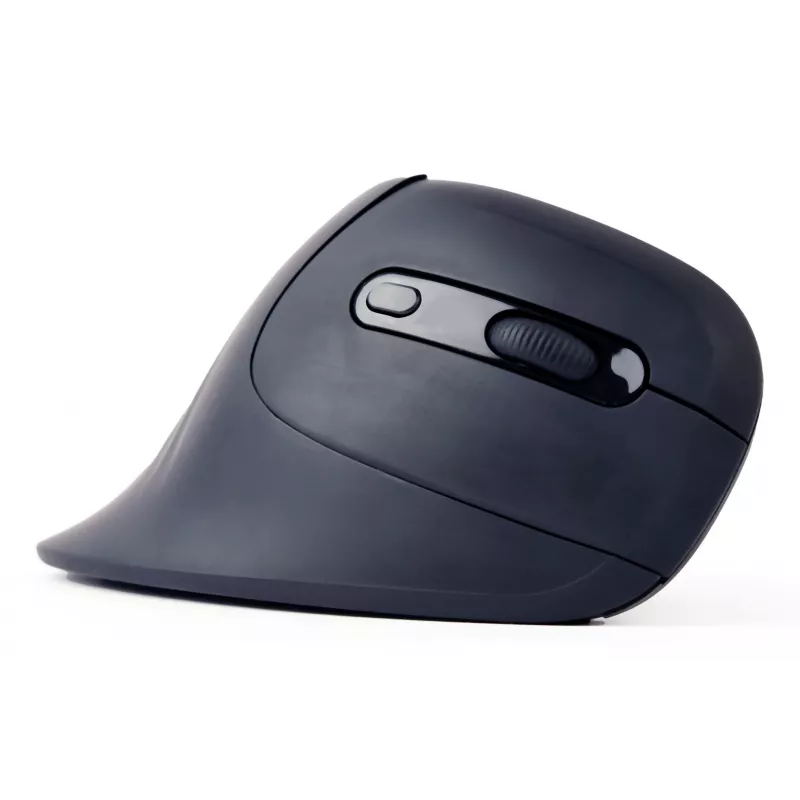 Gembird MUSW-ERGO-03 pele Mājas Labās rokas RF bezvadu Optiskā 1600 DPI