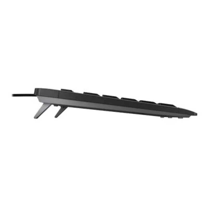 CHERRY STREAM TKL tastatūra Universāla USB QWERTZ Vācu Melna