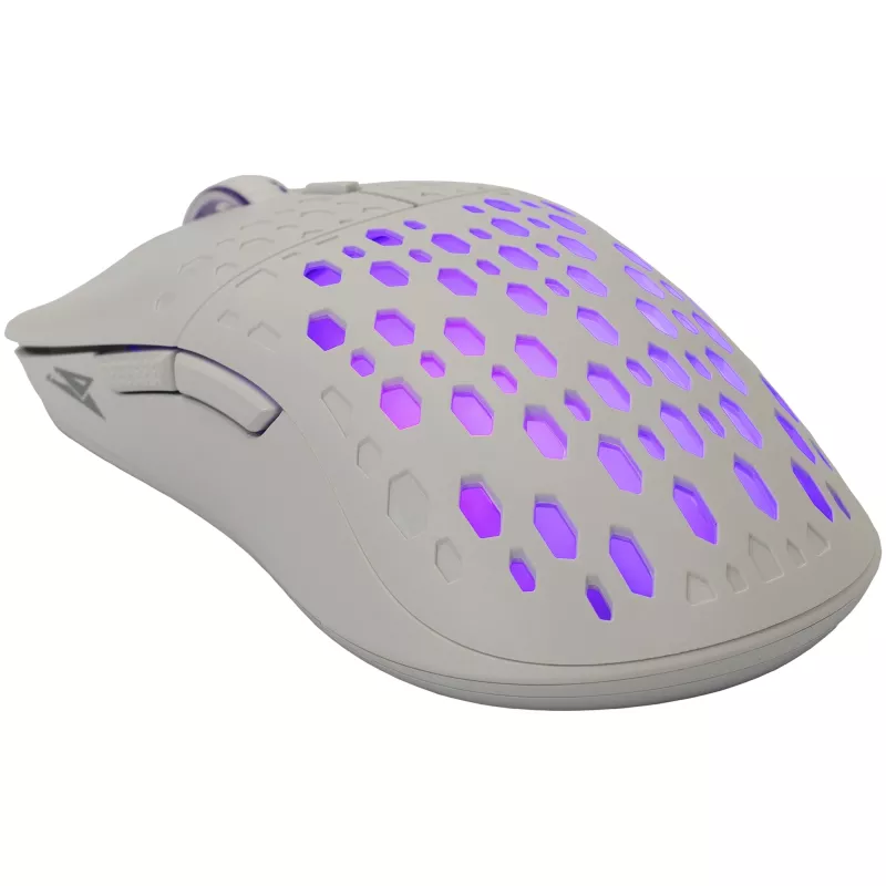 Baracuda BGM-022 OCTOPUS balta