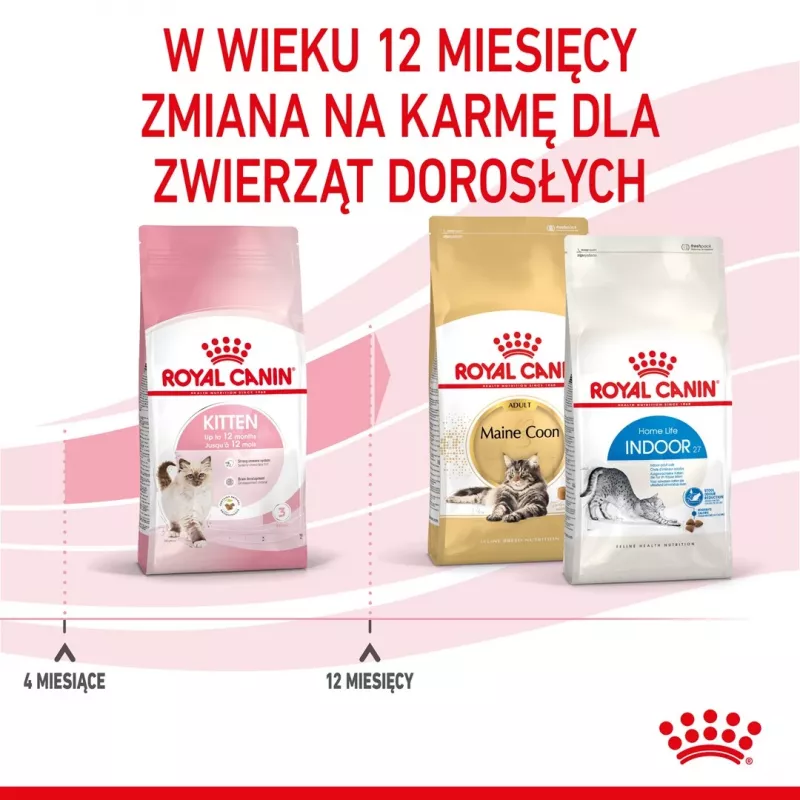 Royal Canin Kitten sausā kaķu barība 2 kg — mājputnu (vistas) formula, olbaltumvielas 36%, tauki 18%
