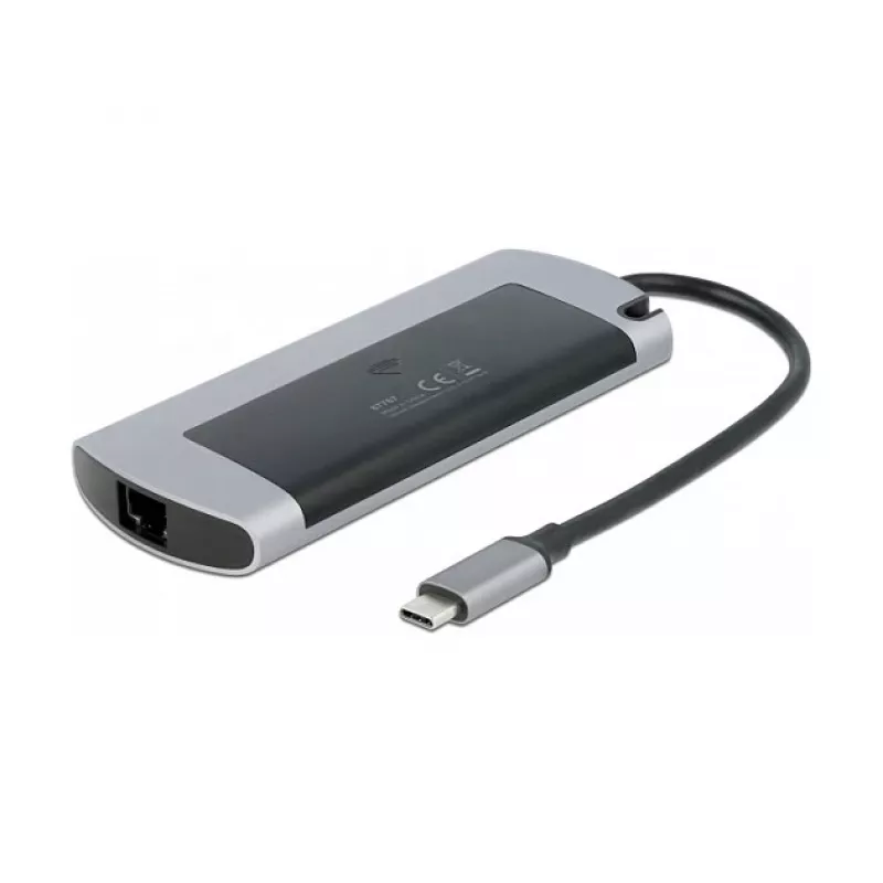 Docking Station DeLOCK USB Type-C Docking Station with M.2 Slot