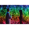 TWINKLY Strings 600 (TWS600STP-BEU) viedās Ziemassvētku eglītes gaismiņas, 600 LED, RGB, 48 m