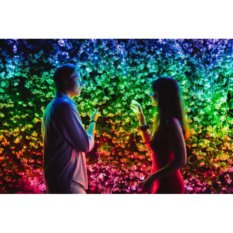 TWINKLY Strings 600 (TWS600STP-BEU) viedās Ziemassvētku eglītes gaismiņas, 600 LED, RGB, 48 m