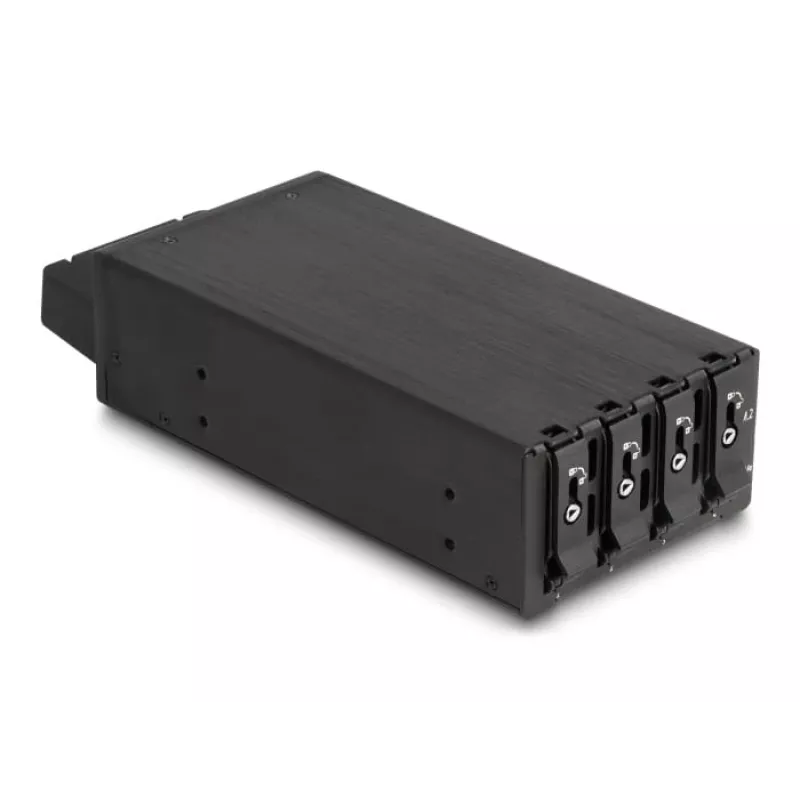 HDD Cage DeLOCK 47126 Rack Saderīga Metal 72mm Width