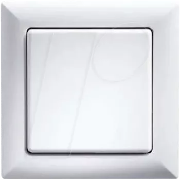 Light Switch Eltako FT55-wg