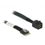 DeLOCK SAS kabelis 85081 0,5m plāns SAS SFF-8654 Mini SAS HD SFF-8643