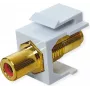 VALUE ROLINE Keystone sakabe RCA ekranēta plastmasas sarkana (25.99.8213)