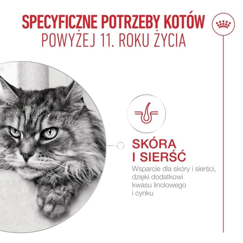 Sausā kaķu barība Royal Canin FHN Ageing 11+ 2 kg — mājputni, 30% olbaltumvielu, locītavu un nieru atbalsts