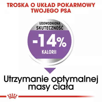 Sausā suņu barība Royal Canin Mini Sterilised Care — 3 kg, vista, sterilizētām mazo šķirņu (5–10 kg) suņiem, pieaugušiem, 30% olbaltumvielu