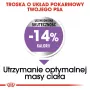 Sausā suņu barība Royal Canin Mini Sterilised Care — 3 kg, vista, sterilizētām mazo šķirņu (5–10 kg) suņiem, pieaugušiem, 30% olbaltumvielu