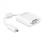 USB grafikas adapteris DeLOCK 65557 1920 x 1080 pikseļi Balts