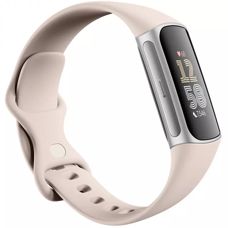 Fitbit GA05185-EU Sudraba krāsa