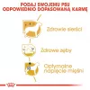 Sausā suņu barība Royal Canin Poodle Adult 1,5 kg — vista, 30% olbaltumvielas, 19% tauki