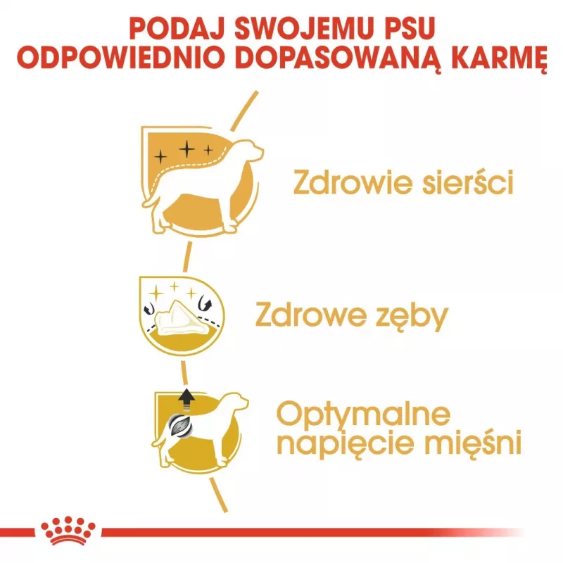 Sausā suņu barība Royal Canin Poodle Adult 1,5 kg — vista, 30% olbaltumvielas, 19% tauki