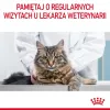 Royal Canin Urinary Care sausā kaķu barība 4 kg