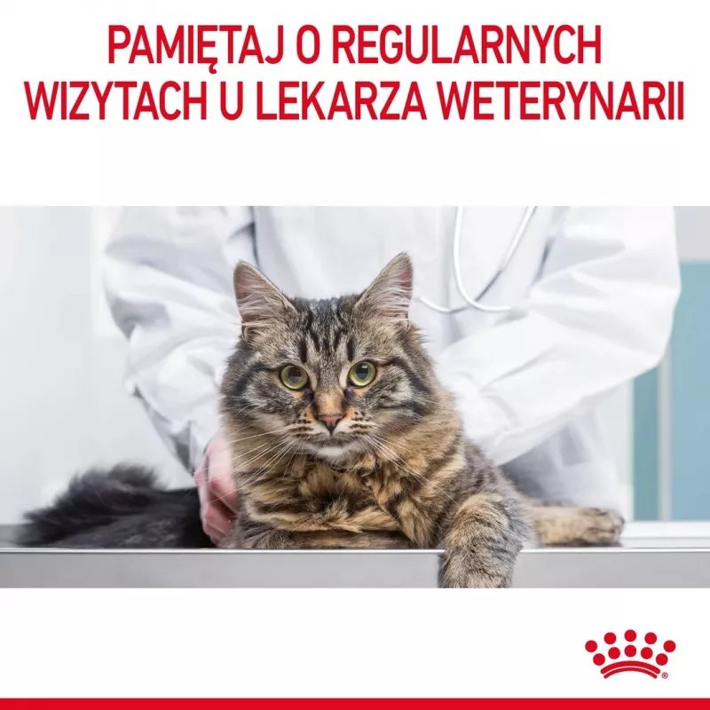 Royal Canin Urinary Care sausā kaķu barība 4 kg