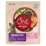 Sausā suņu barība Purina Nestlé One Mini/Small Sensitive Salmon & Rice 800 g – mazo šķirņu (5–10 kg), senioriem, 27% olbaltumvielu, 17% tauku