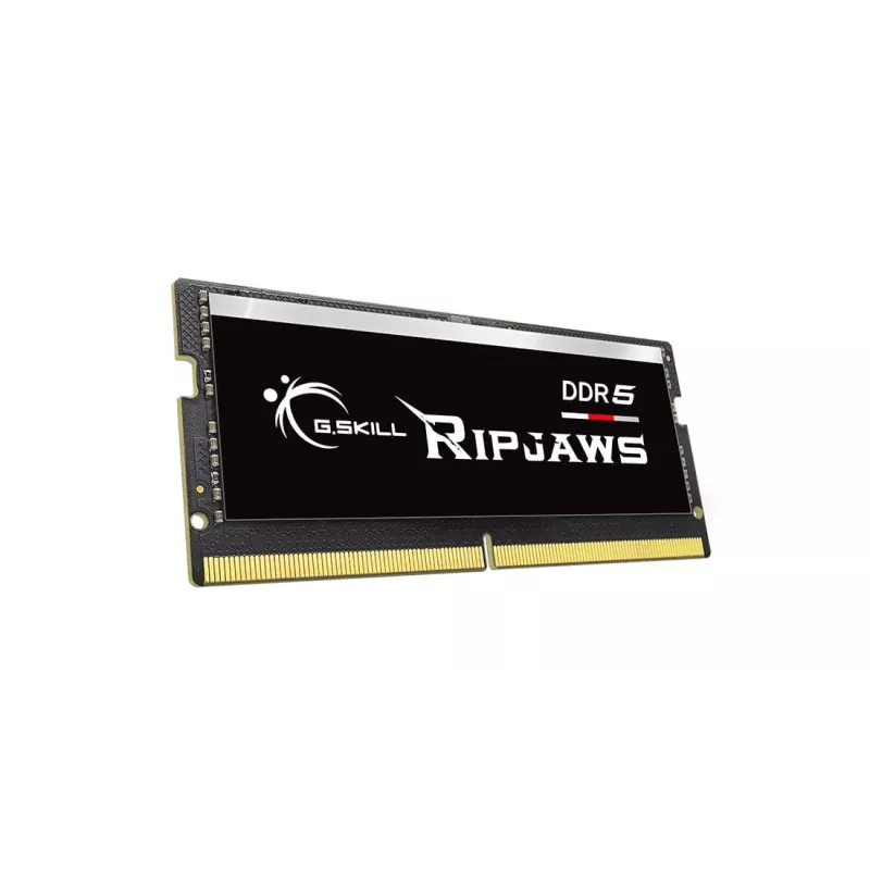 G.SKILL Ripjaws DDR5 SO-DIMM 16 GB (F5-5600S4040A16GX1-RS)