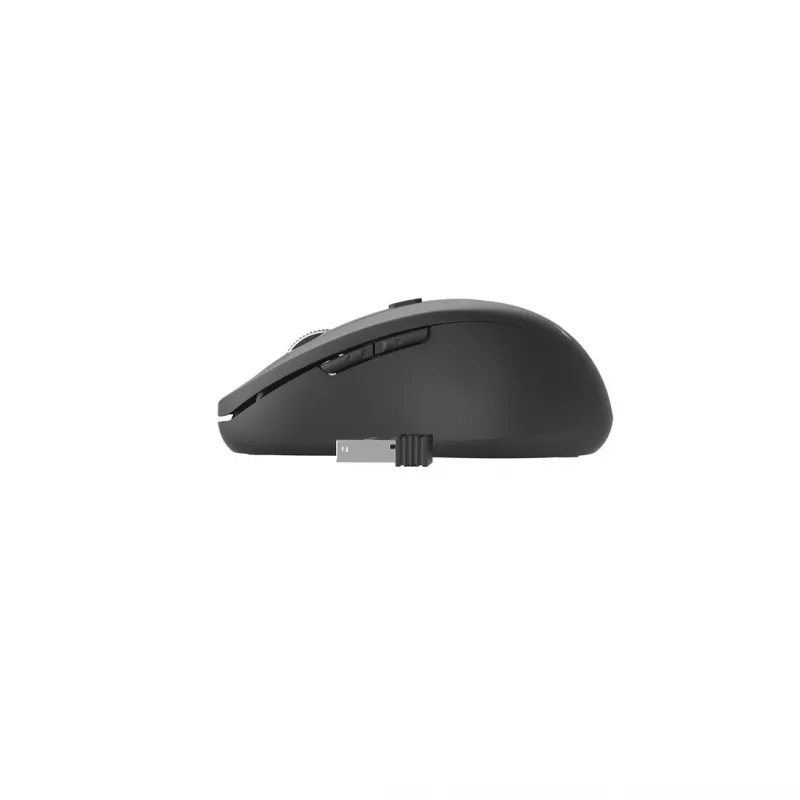 Gembird MUSW-6B-01 pele Birojs Labās rokas RF bezvadu Optiskais 1600 DPI