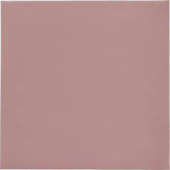 Thermal Grizzly Minus Pad 8 - 100 x 100 x 0,5 mm, 2 gab.
