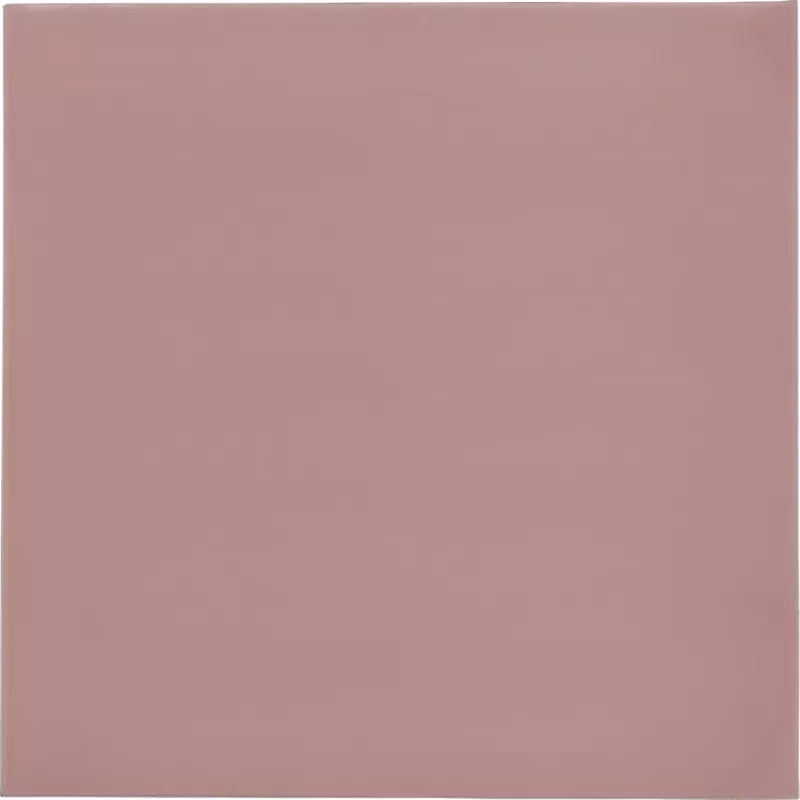 Thermal Grizzly Minus Pad 8 - 100 x 100 x 0,5 mm, 2 gab.