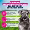 Sausā suņu barība EUKANUBA Mature Small Chicken 3 kg — pieaugušiem mazo šķirņu suņiem