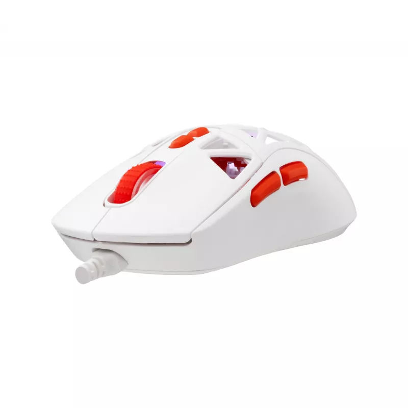 Pele Baracuda BGM-092 Seal balta SEAL-W