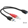 USB kabelis DeLOCK 83176 USB 3.2 Gen 1 0.3 m USB A 2 x USB A