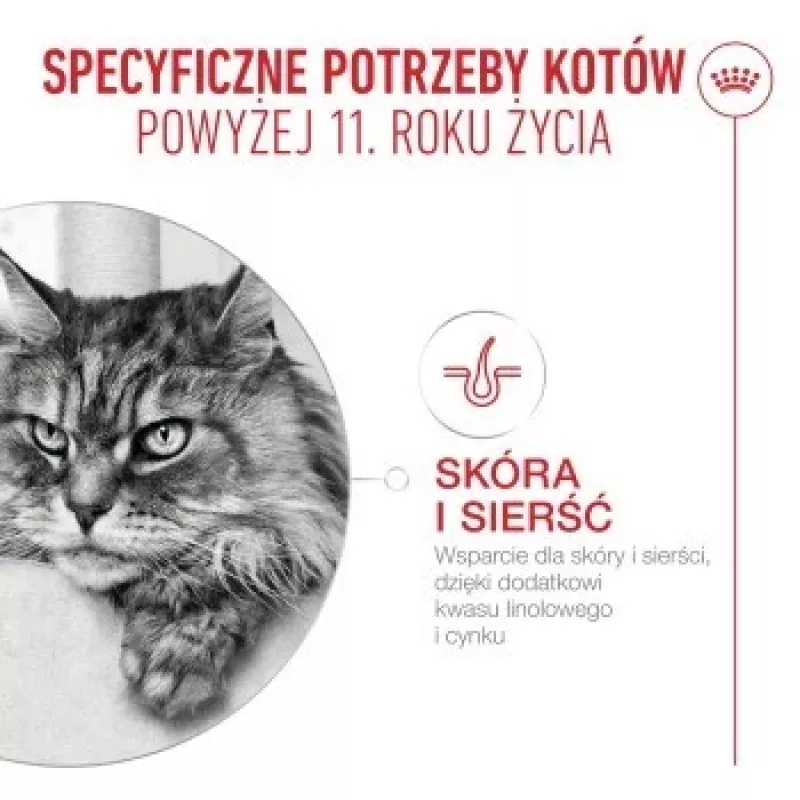 Mitrā kaķu barība Royal Canin FHN Ageing 11+ Gravy 12 × 85 g – pilnvērtīga mitrā barība senioriem paplātītēs