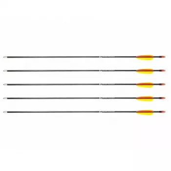 Arrow set POE LANG D-055-B3 — fibreglass arrows, 28 in (710 mm), Melns, set of 5