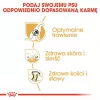 Sausā suņu barība Royal Canin German Shepherd Adult, 11 kg — liela šķirne, mājputnu gaļa, 24% olbaltumvielu, 19% tauku