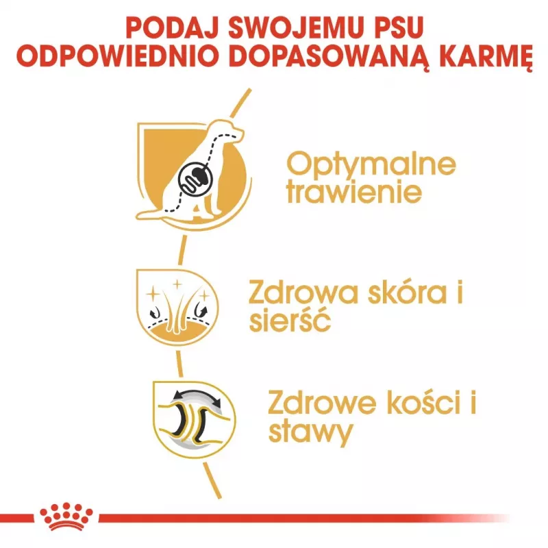 Sausā suņu barība Royal Canin German Shepherd Adult, 11 kg — liela šķirne, mājputnu gaļa, 24% olbaltumvielu, 19% tauku