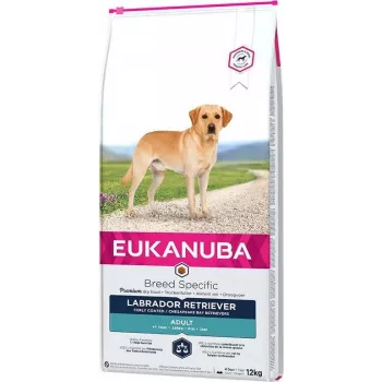 Sausā suņu barība EUKANUBA Adult Labrador Retrievers 12 kg — vista un tītars, 23% olbaltumvielu, 13% tauku