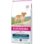 Sausā suņu barība EUKANUBA Adult Labrador Retrievers 12 kg — vista un tītars, 23% olbaltumvielu, 13% tauku