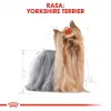 ROYAL CANIN BHN Yorkshire Terrier Adult sausā suņu barība - 7.5 kg