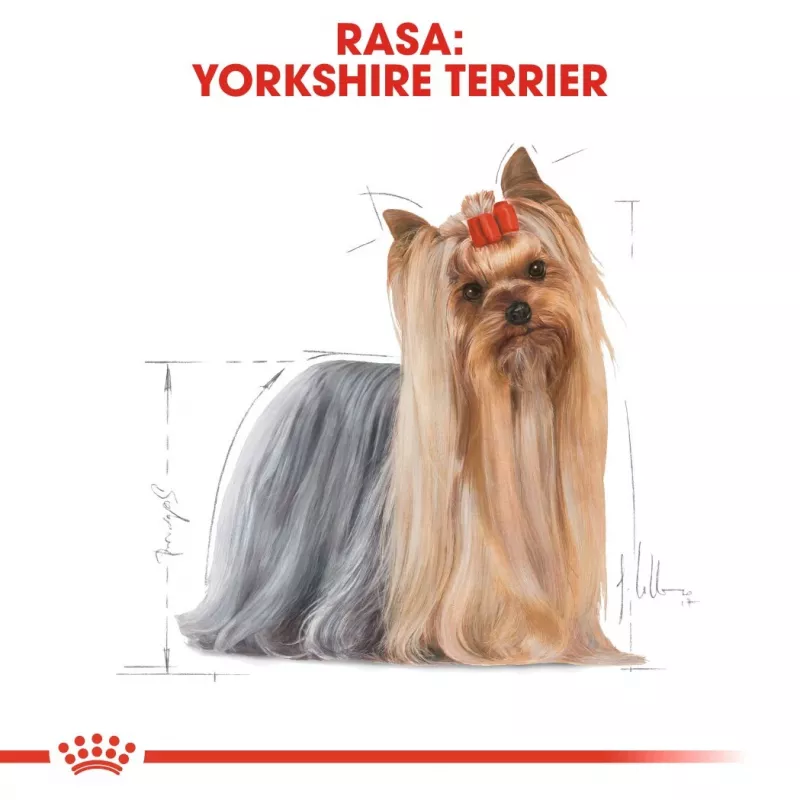 ROYAL CANIN BHN Yorkshire Terrier Adult sausā suņu barība - 7.5 kg