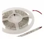 Synergy 21 LED Flex Strip 3528 - 60 Red DC12V 24W IP20