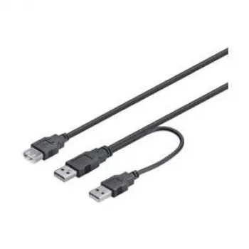 Wentronic Goobay USB 2.0 Hi-Speed Dual-Power kabelis, melns, 0,3 m - USB 2.0 spraudnis (A tipa), USB 2.0 spraudnis (A tipa) > USB 2.0 ligzda (A tipa) (93353)